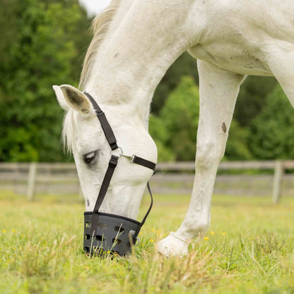 Equinavia Breakaway Grazing Muzzle