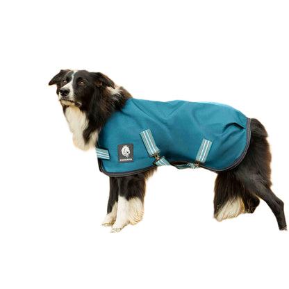 Equinavia Arktis Dog Turnout Sheet