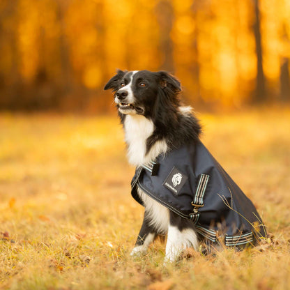 Equinavia Arktis Dog Turnout Sheet