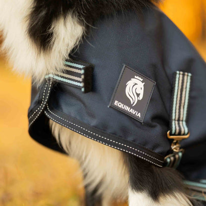 Equinavia Arktis Dog Turnout Sheet