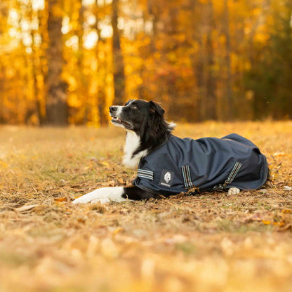 Equinavia Arktis Dog Turnout Sheet