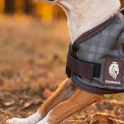 Equinavia Arktis Dog Turnout Blanket 200g