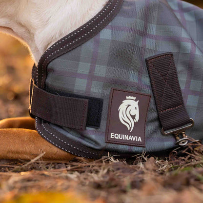 Equinavia Arktis Dog Turnout Blanket 200g