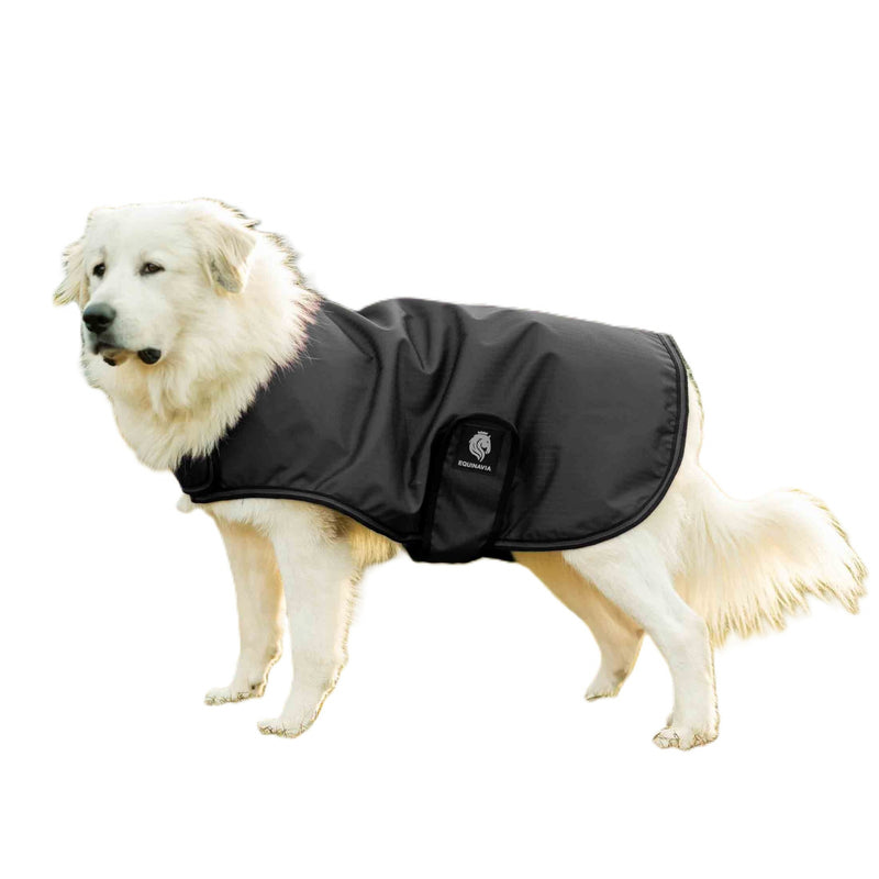 Equinavia Norse Dog Turnout Sheet