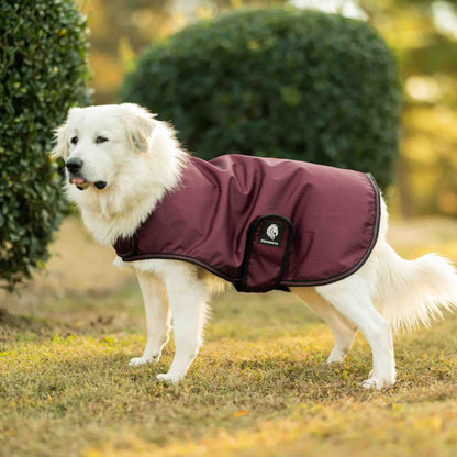 Equinavia Norse Dog Turnout Blanket 200g