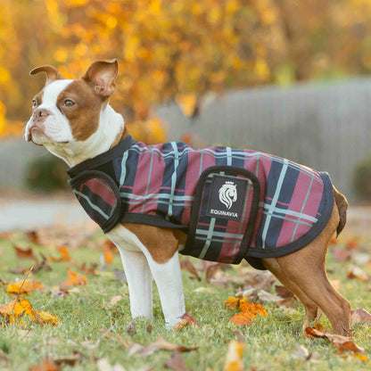 Equinavia Norse Dog Turnout Blanket 200g