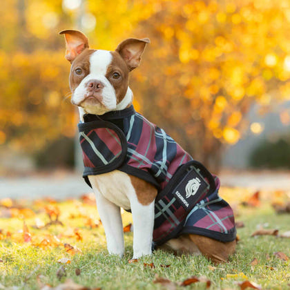 Equinavia Norse Dog Turnout Blanket 200g