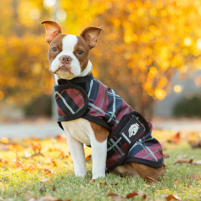 Equinavia Norse Dog Turnout Blanket 200g