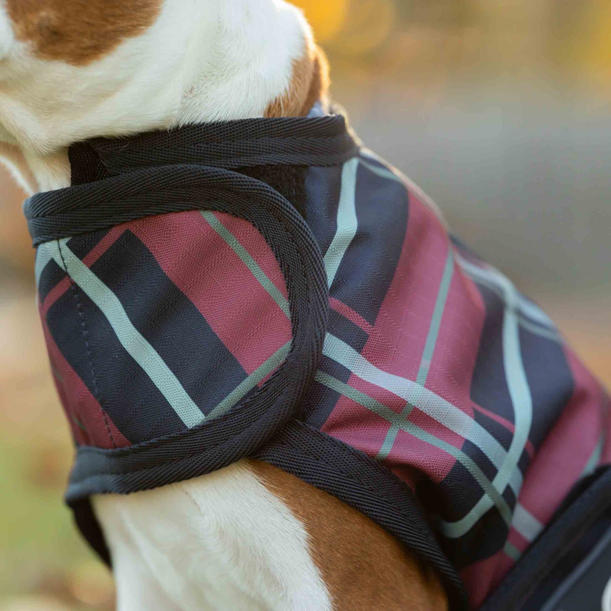 Equinavia Norse Dog Turnout Blanket 200g