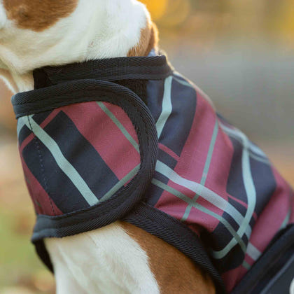 Equinavia Norse Dog Turnout Blanket 200g