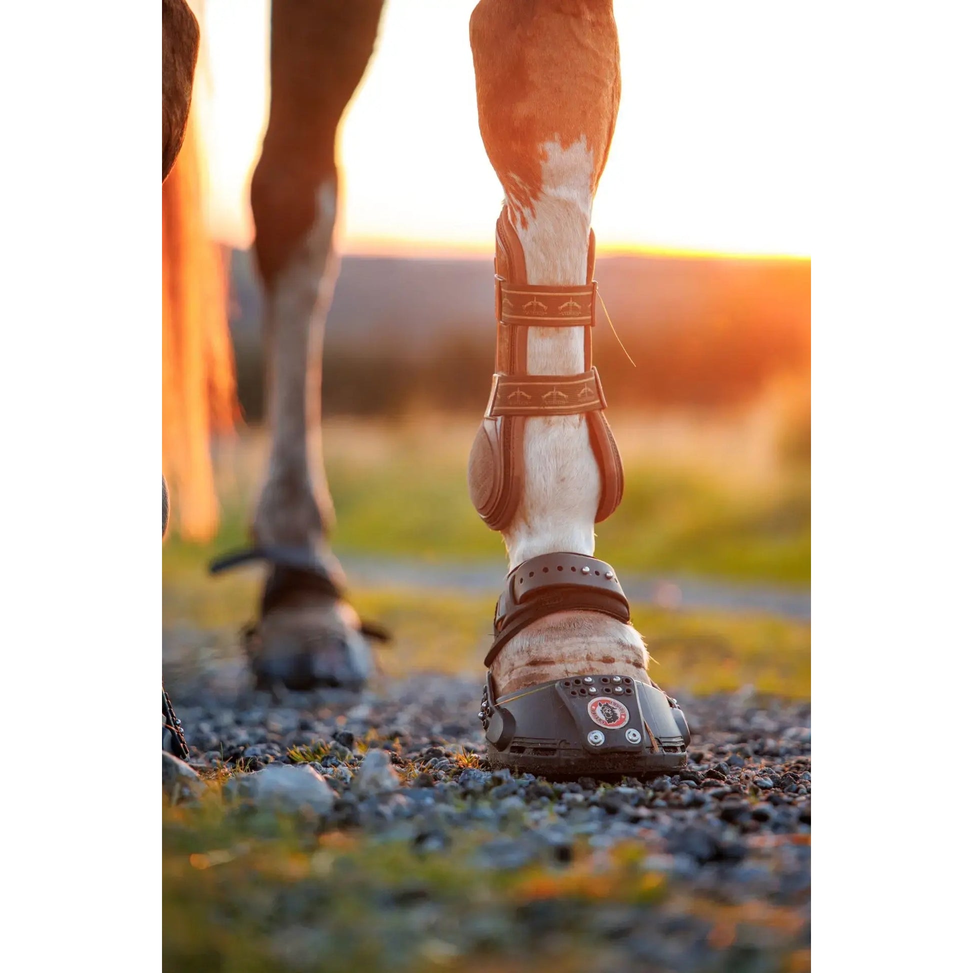 Equine Fusion Trailblazer Jogging Shoe Hoof Boot Single