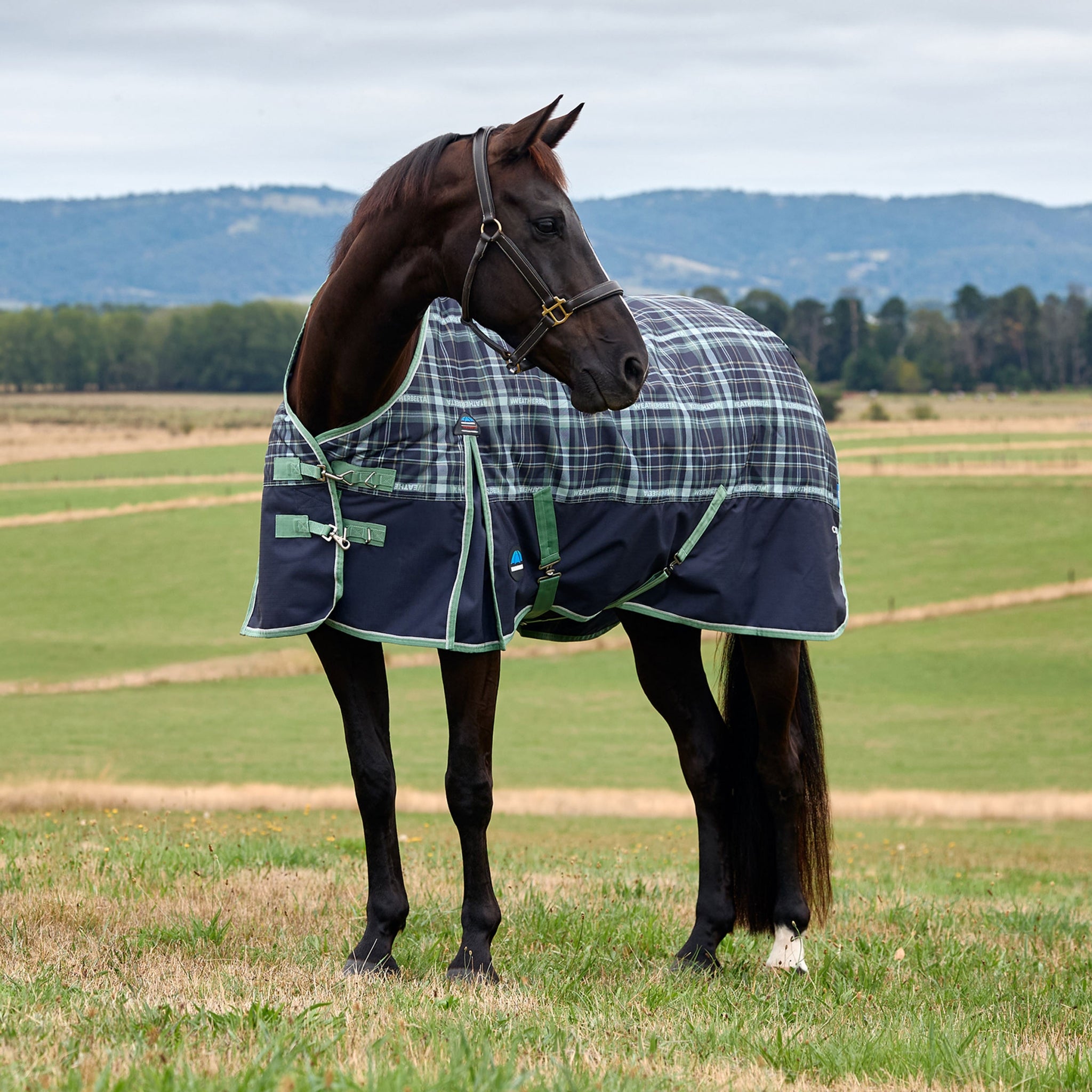 Weatherbeeta Comfitec Limted Edition Plaid Print Turnout 220g