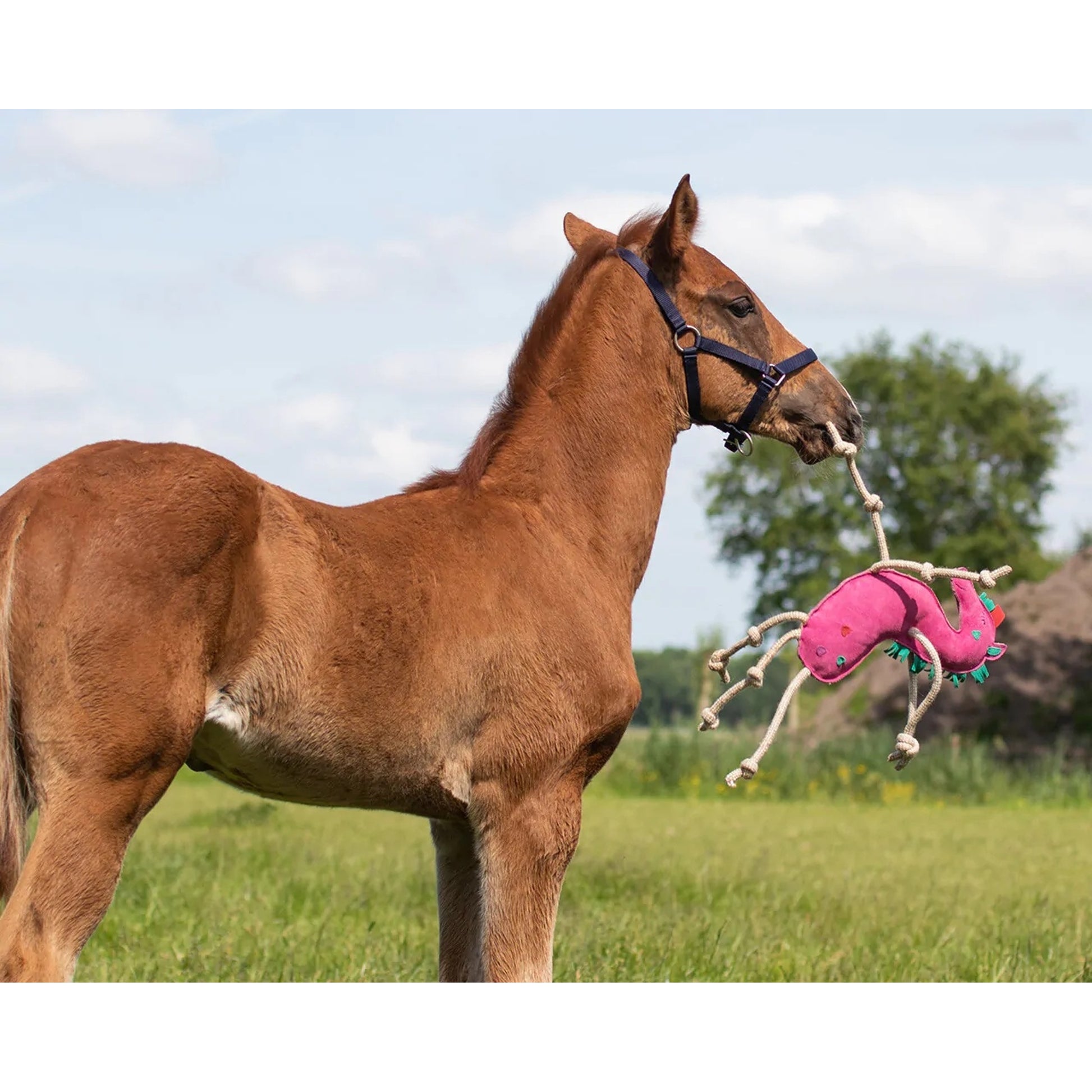 QHP Unicorn Horse Toy