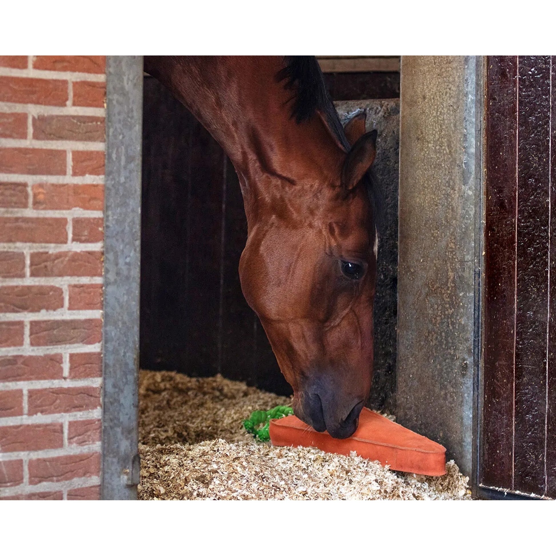 QHP Carrot Horse Toy
