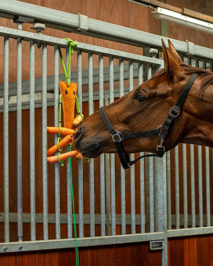 QHP Carrot Horse Toy with Hay Net