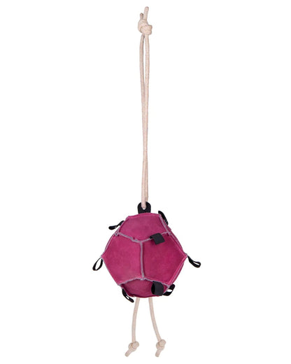 QHP Horse Ball Toy