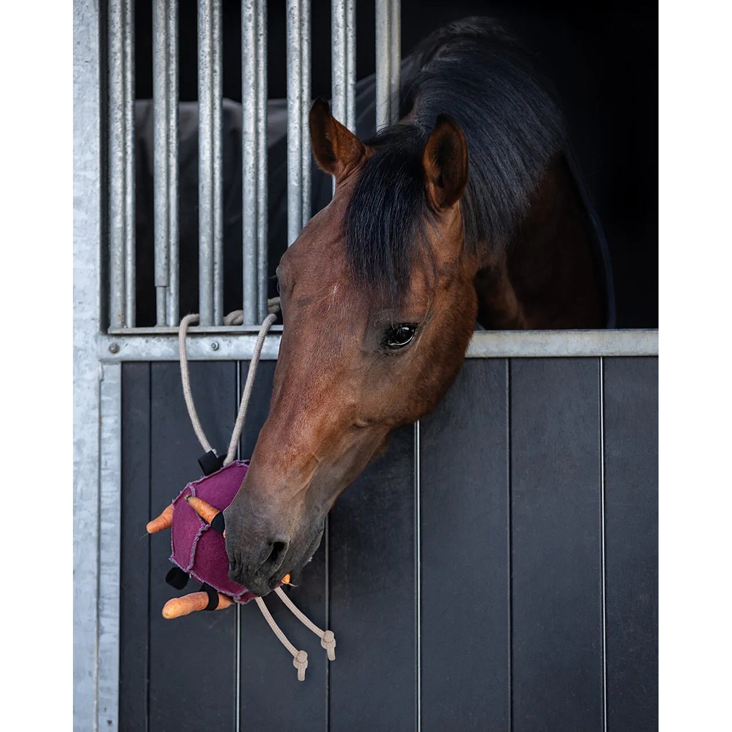 4-540803-2.jpg