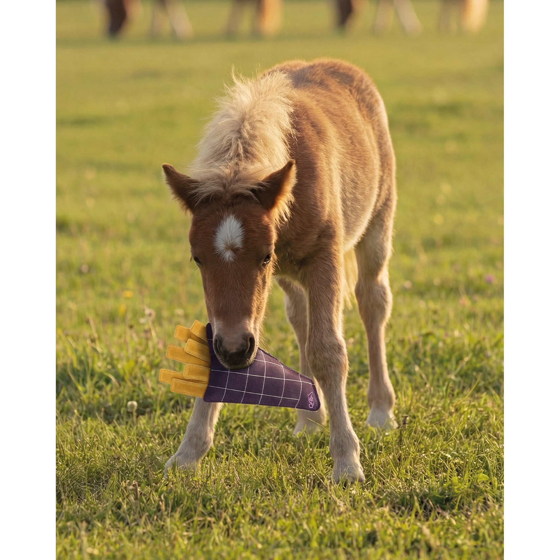 QHP Snack Counter Fries Horse Toy