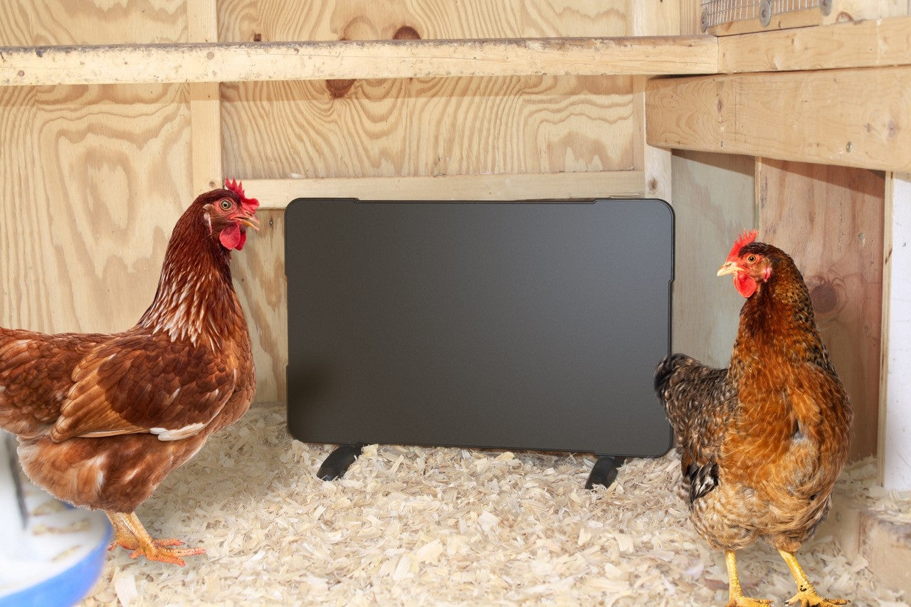 Farm Innovators 2-in-1 Chicken Coop Heater and Brooder