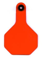 Identification Tags For Cattle