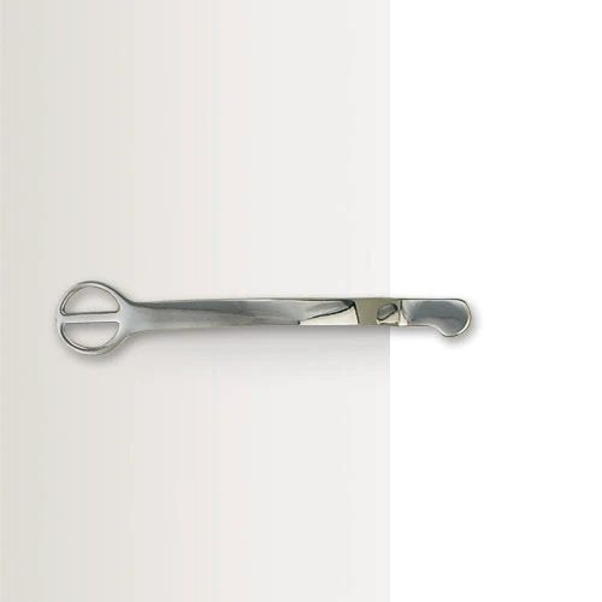 Centaur Stainless steel Dummy Spurs Ladies