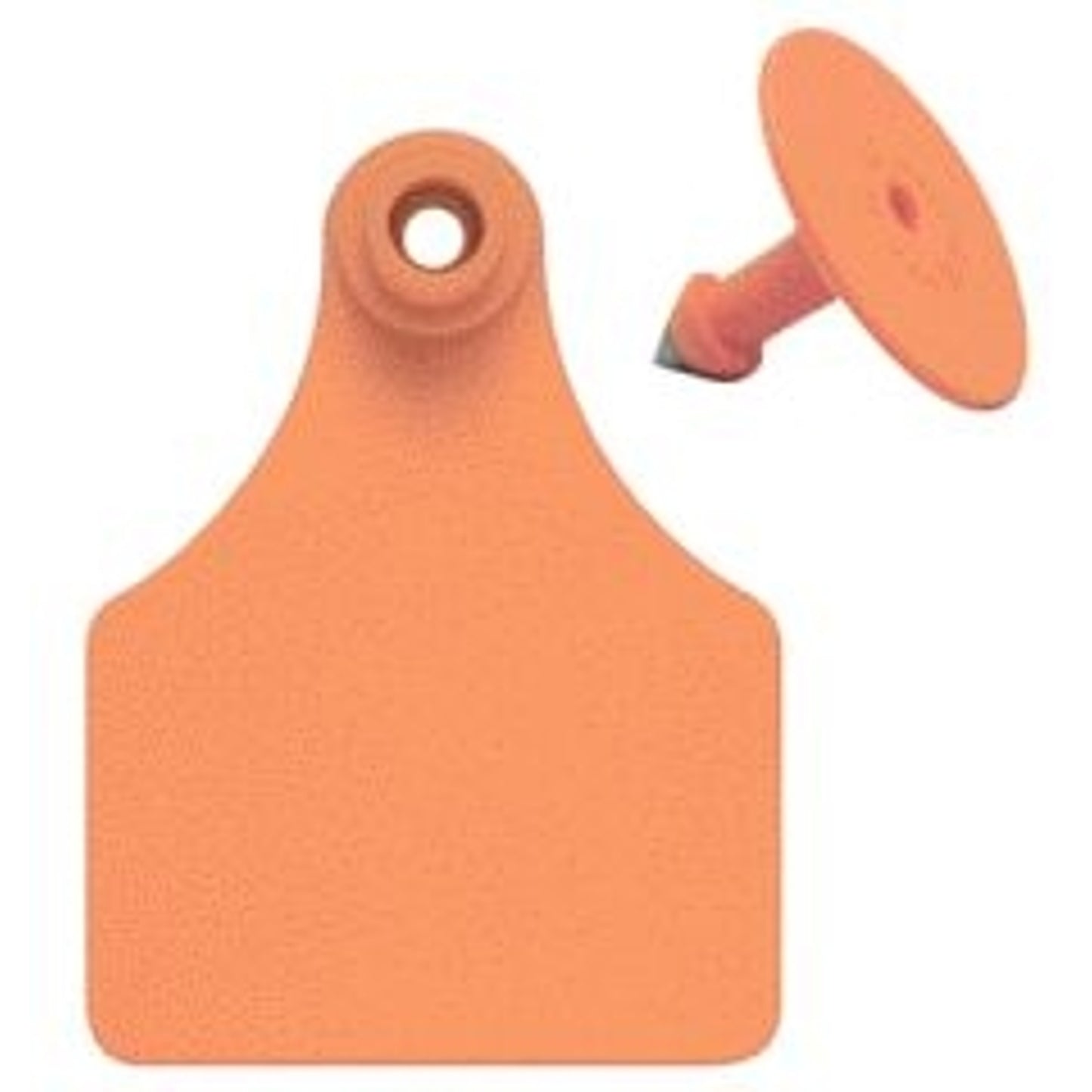 5-255466.jpg