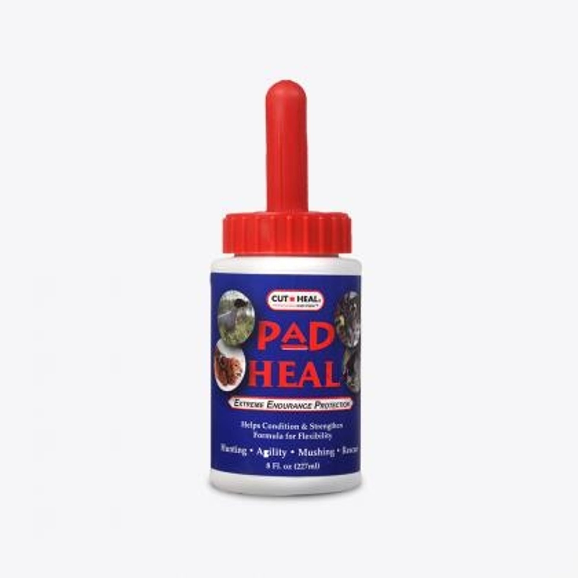 Cut Heal Pad Heal