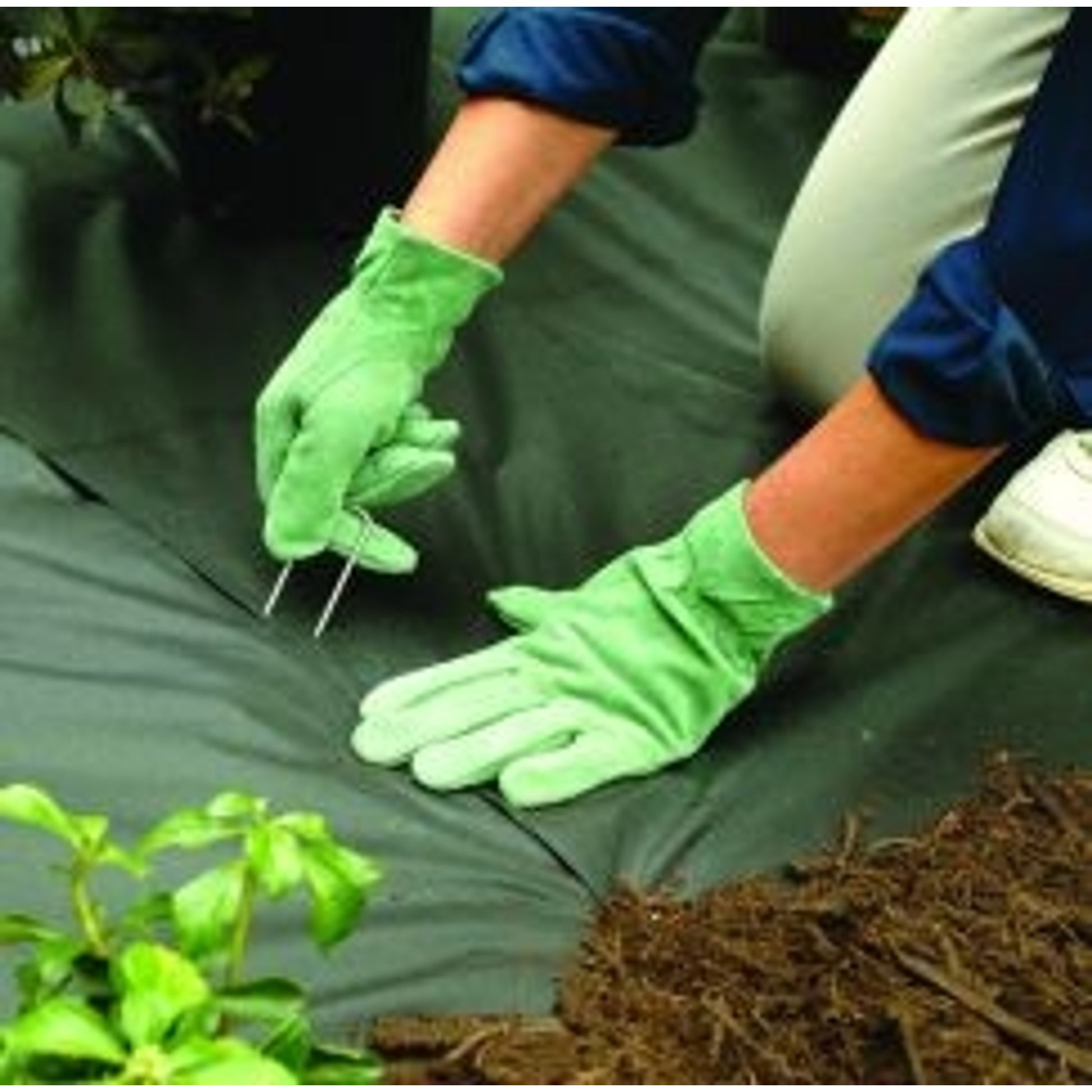 Garden Staples