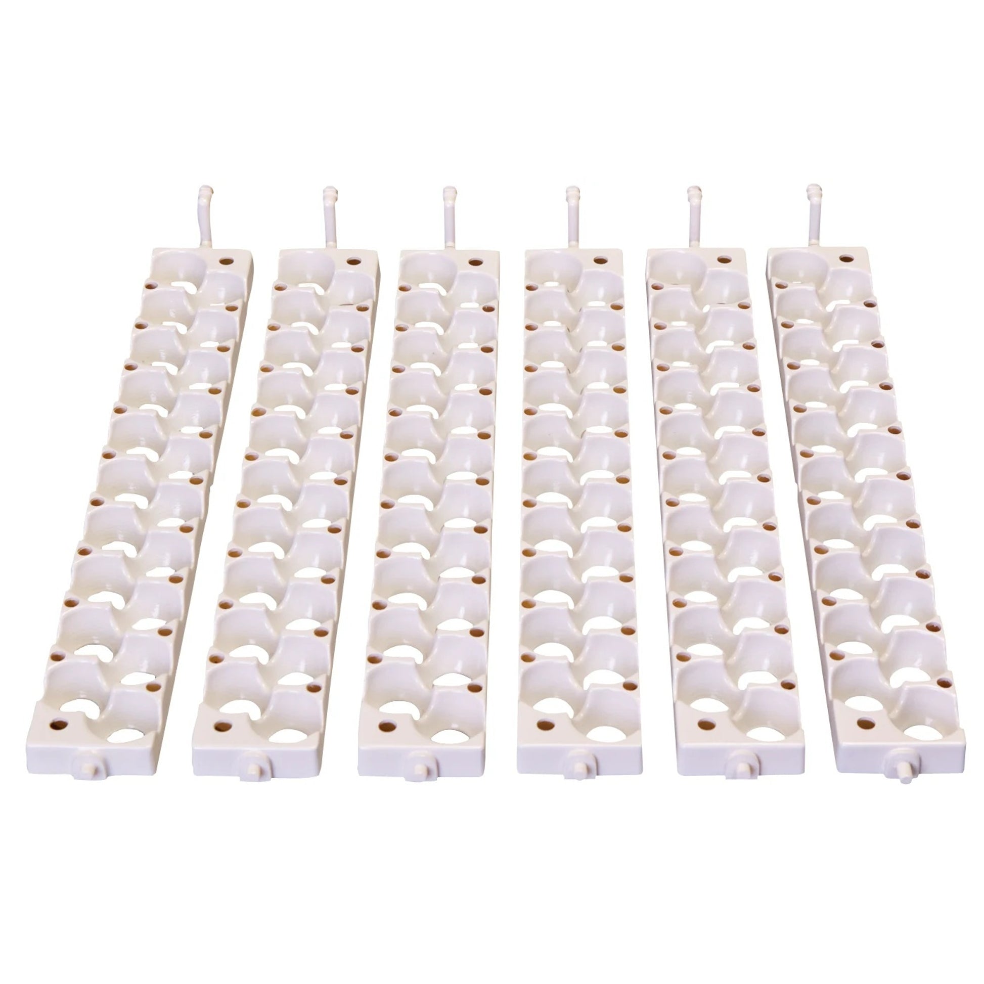 Little Giant Six Small Egg Rails Boxed