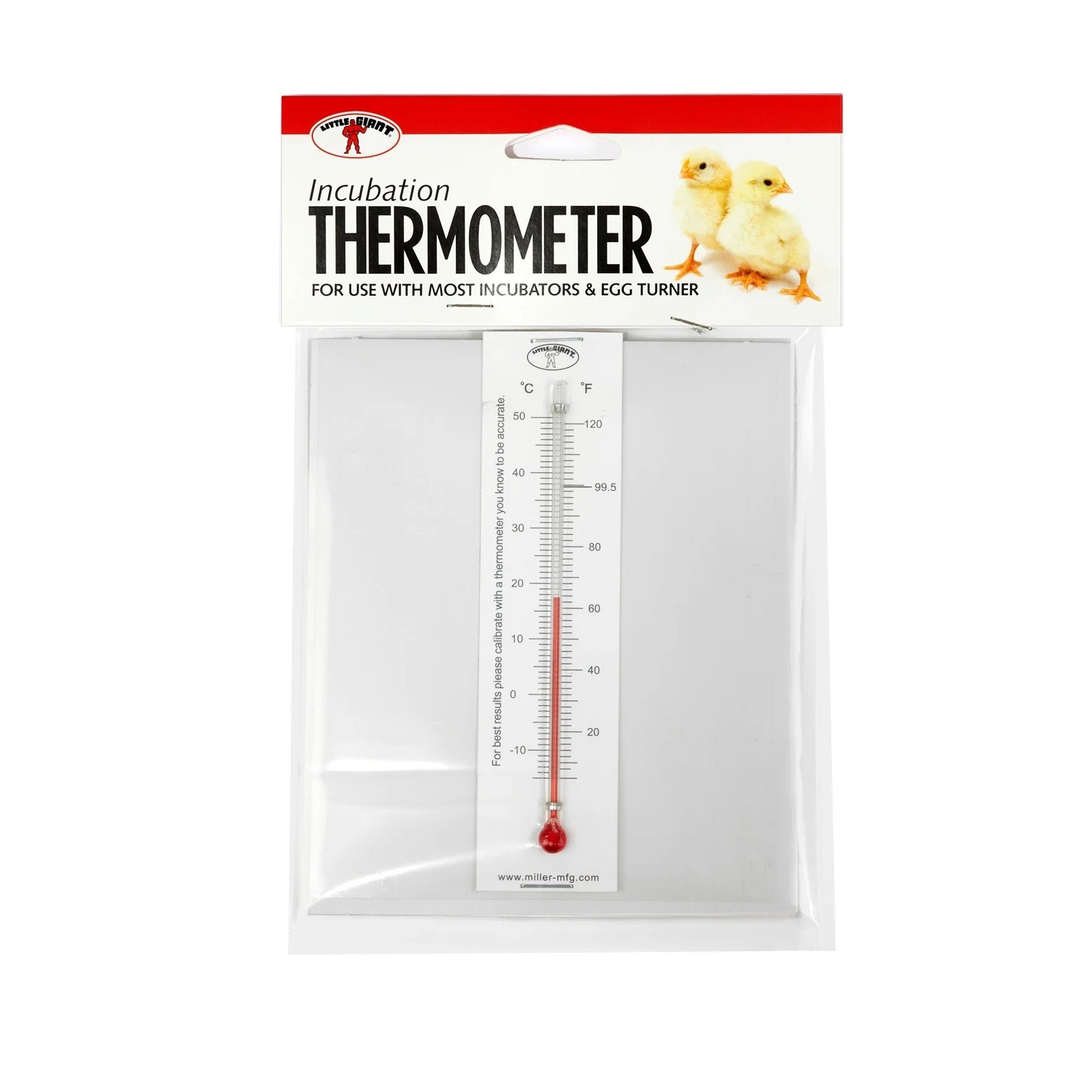 Incubator Thermometer Gray