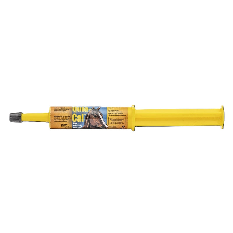 Finish Line Quia-Cal Paste Syringe