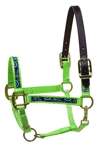 Perri's AQHA 3/8" Cord/Snap Lead