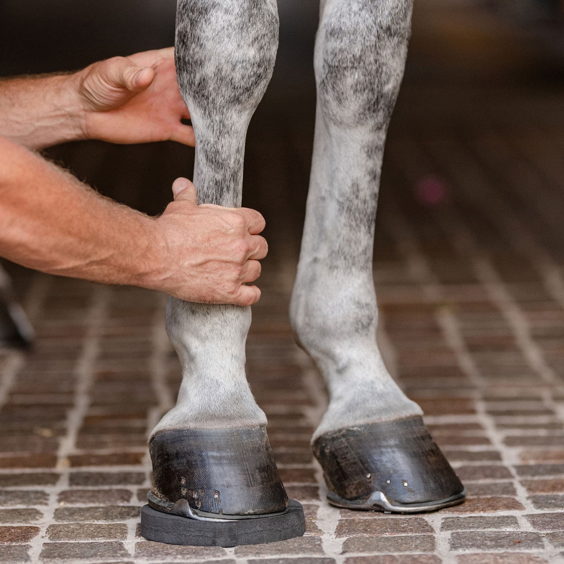 EquiFit HoofSavers Eva Foam Hoof Pads