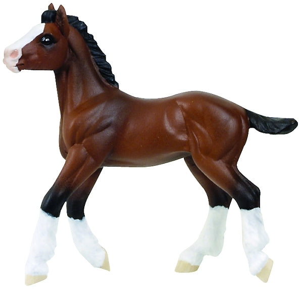 Clydesdale Foal