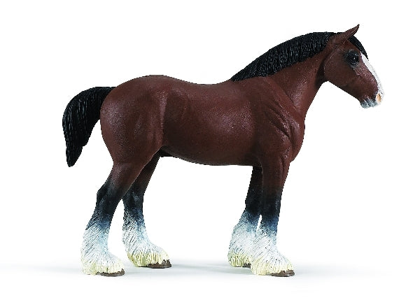Clydesdale Stallion