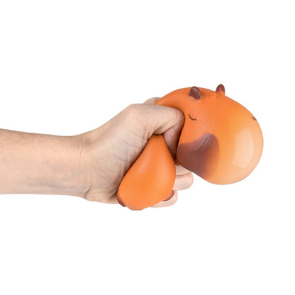 Stretch Squish Capybara Fidget Toy