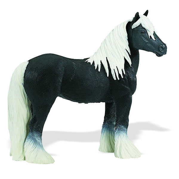 Gypsy Vanner Stallion