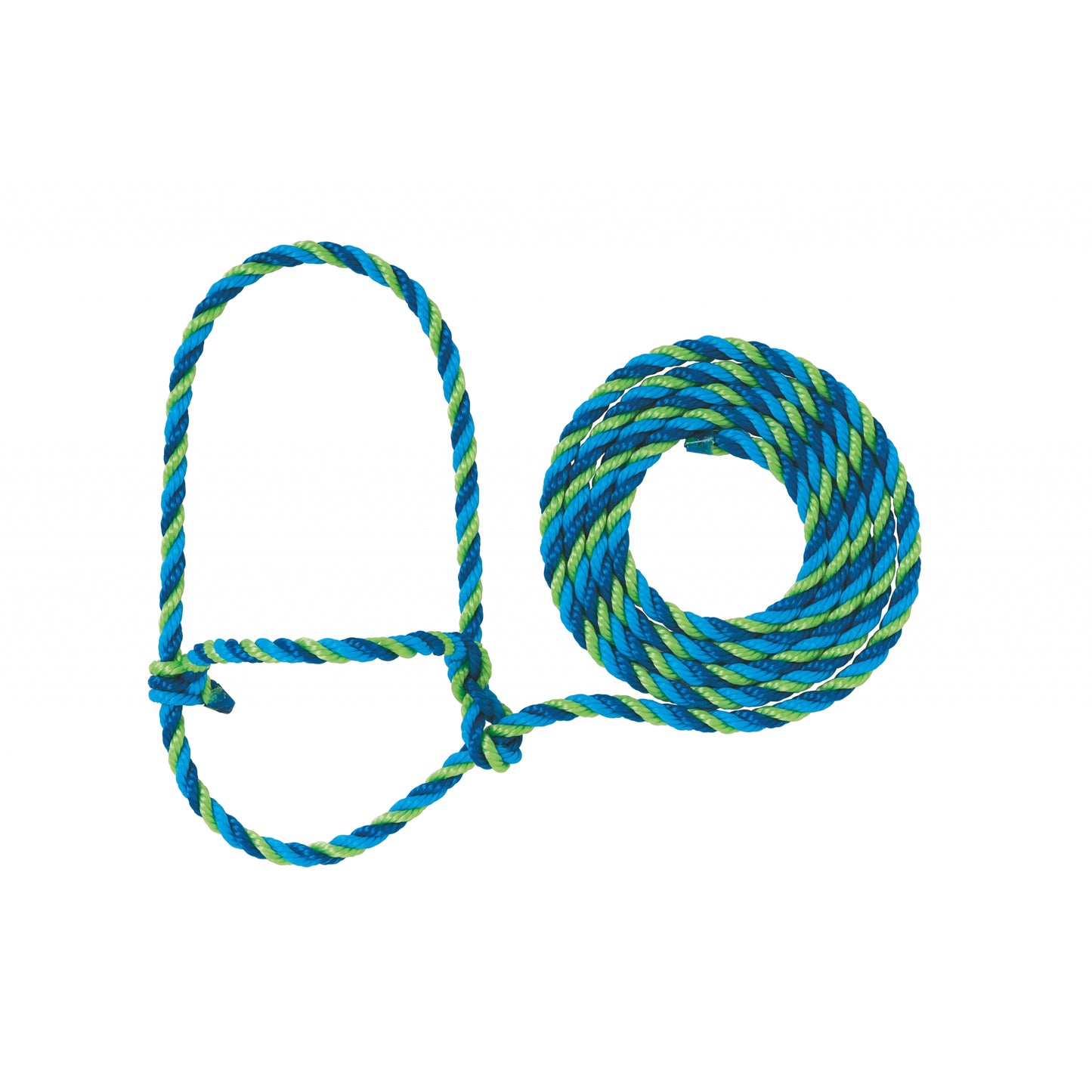 5-563421-h5.jpg