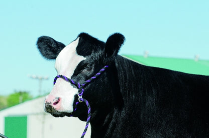 Weaver Poly Rope Breaking Halter