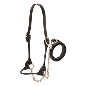 Dairy Beef Rounded Show Halter