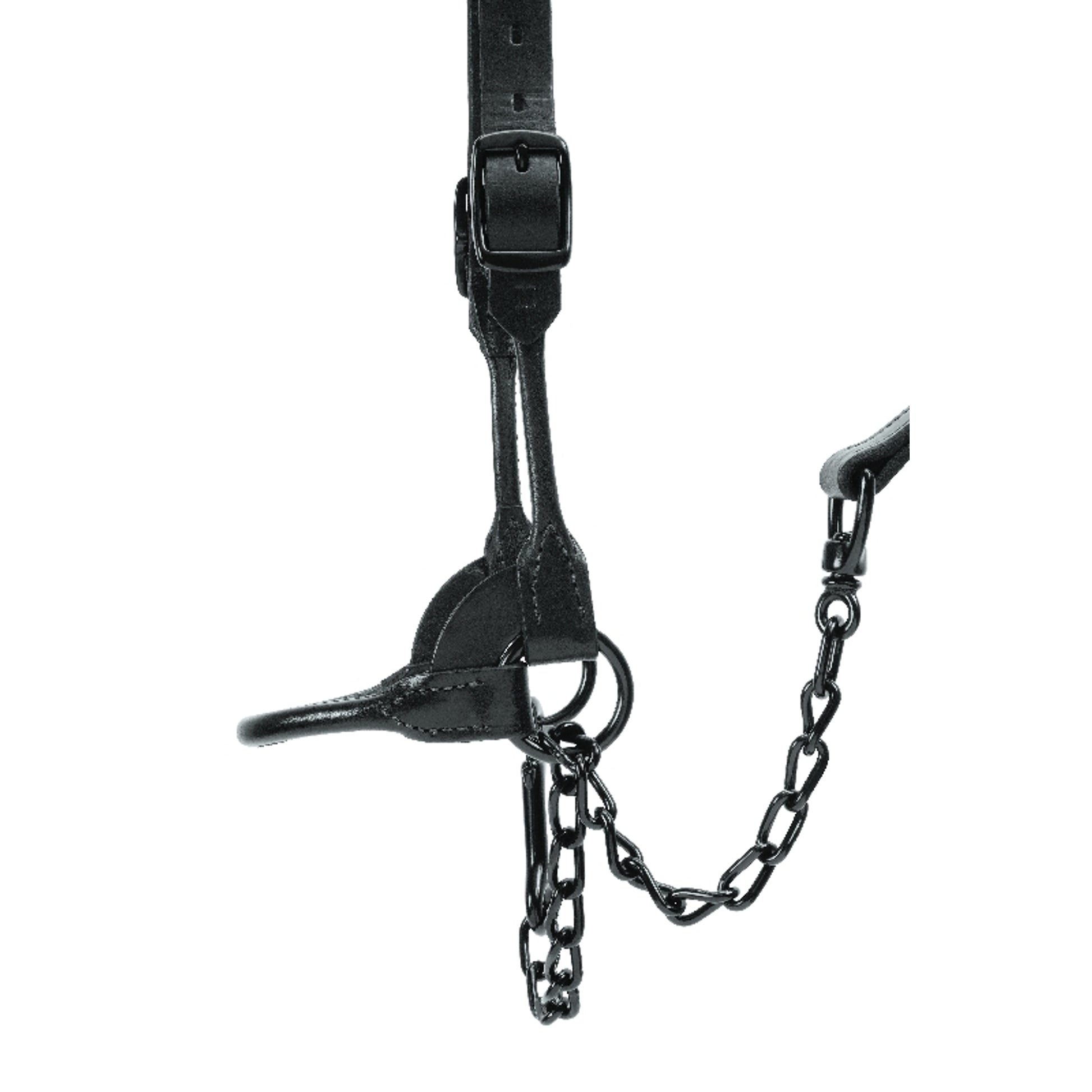 Weaver Leather Black Magic Show Halter