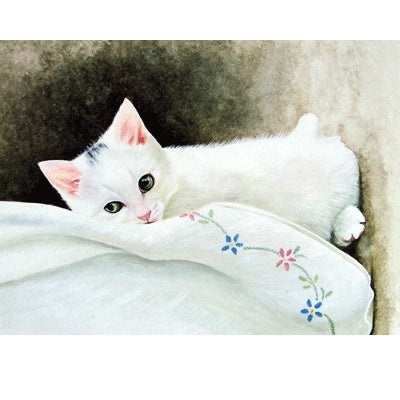 Snowy Blank Greeting Cards - 6 Pack