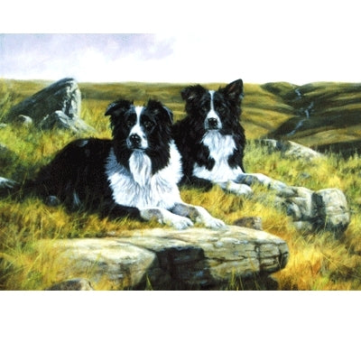 Waiting for the Whistle (Border Collie) Blank Greeting Cards - 6 Pack