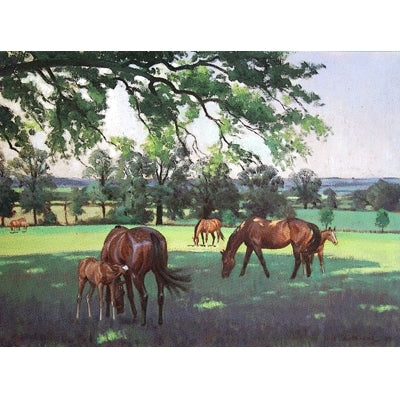 When all the World is Young Blank Greeting Cards - 6 Pack