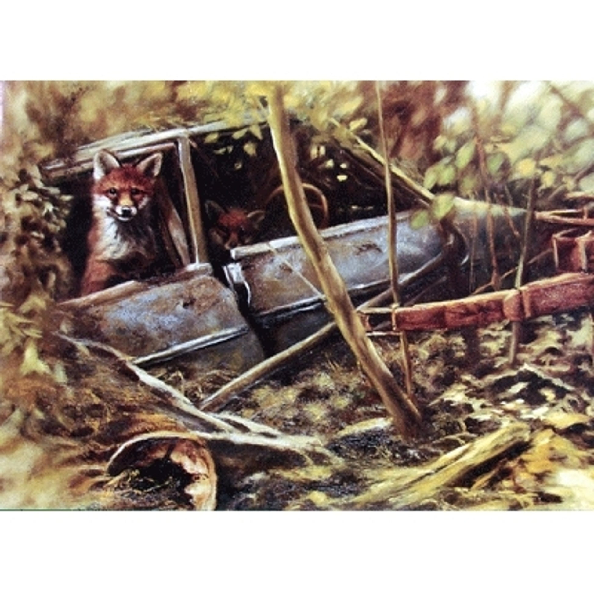 A New Home (Fox) Blank Greeting Cards - 6 Pack