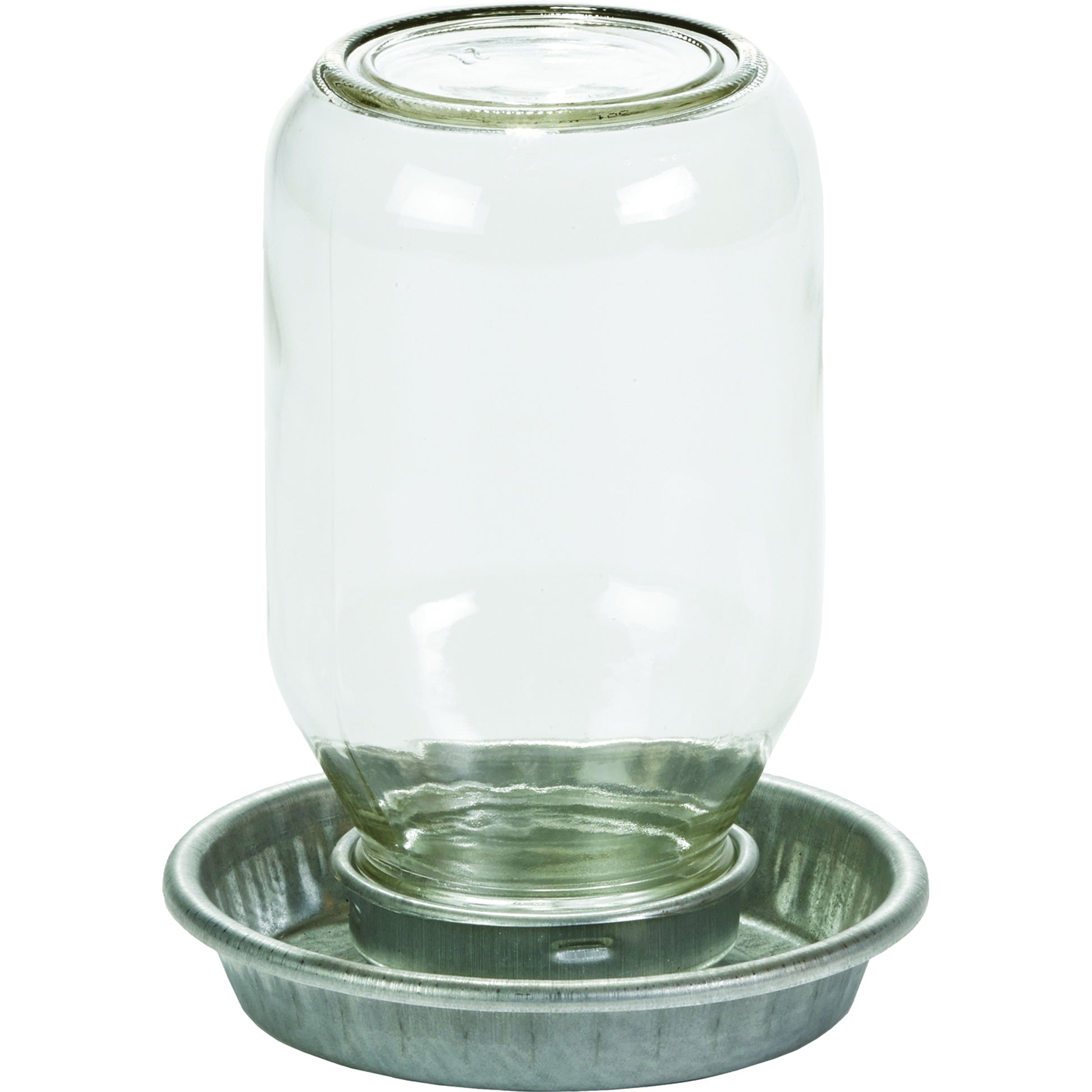Mason Jar Baby Chick Waterer 1 Quart Clear