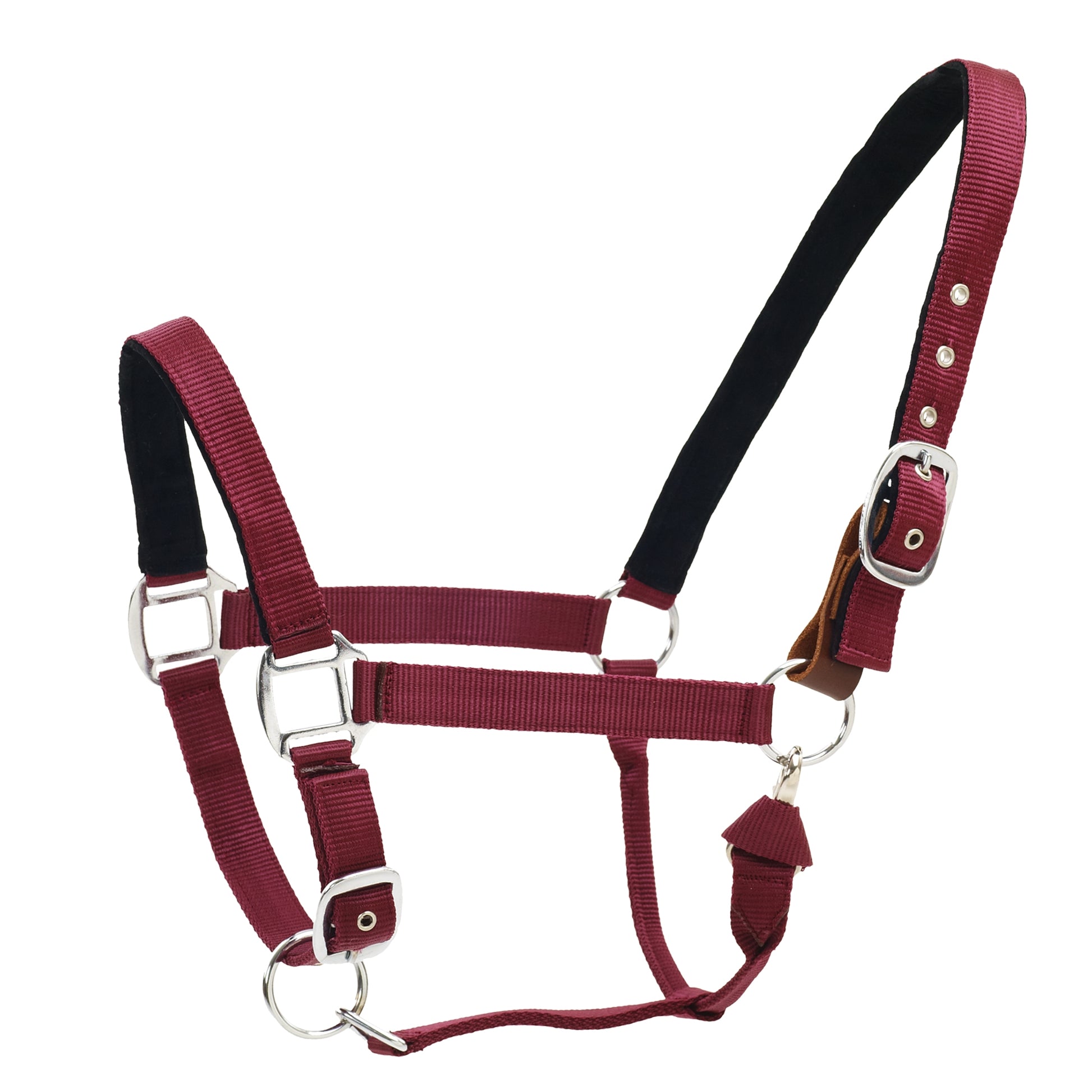 Centaur Solid Cushion Padded Breakaway Halter