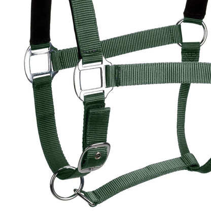 Centaur Solid Cushion Padded Breakaway Halter