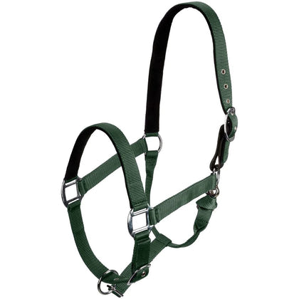 Centaur Solid Cushion Padded Breakaway Halter