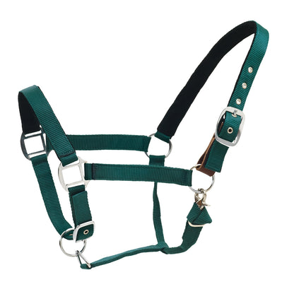 Centaur Solid Cushion Padded Breakaway Halter